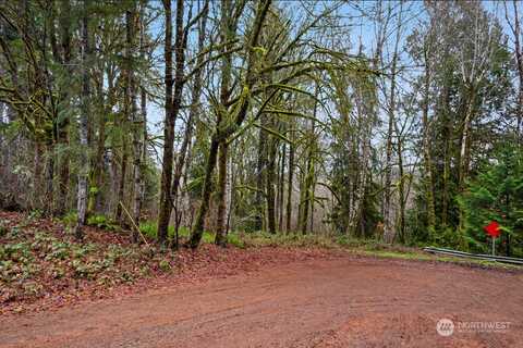 E Peyton Place, Shelton, WA 98584