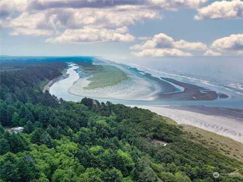 Copalis Rock Lane, Copalis Beach, WA 98535