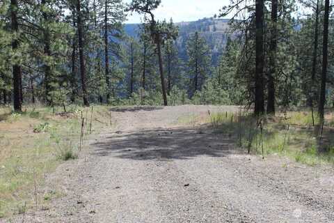 Badger Lot 2 Sontag Ridge E, Davenport, WA 99122