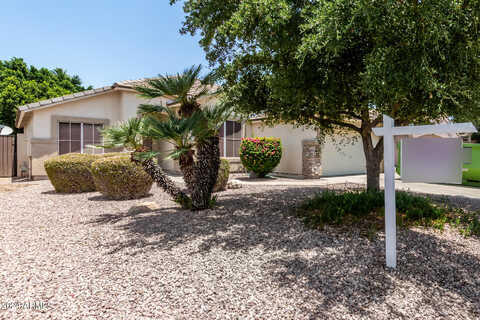 Thompson, CHANDLER, AZ 85286