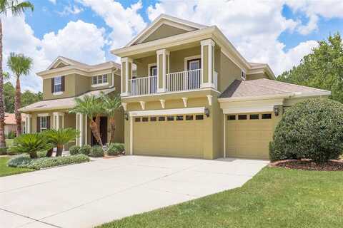 Boreal, WESLEY CHAPEL, FL 33544