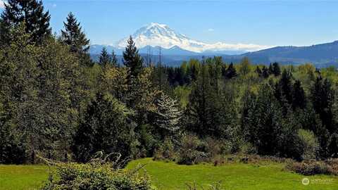 Orting Road N, Bonney Lake, WA 98391