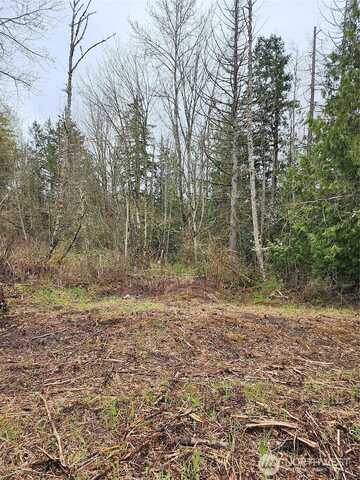Goshen, BELLINGHAM, WA 98226