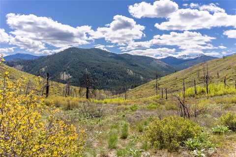 Myer Creek Road, Twisp, WA 98856