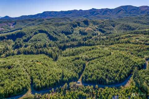 Dell Creek Mainline Road, Naselle, WA 98638