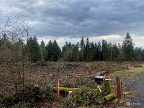 Sr 505 Highway Unit A, Winlock, WA 98596