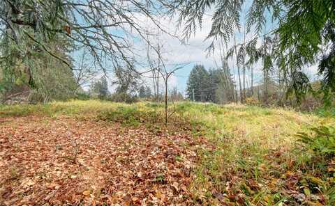 Xx Soper Hill Road, Marysville, WA 98270