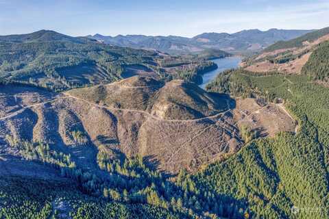 Usfs 8100, Cougar, WA 98616