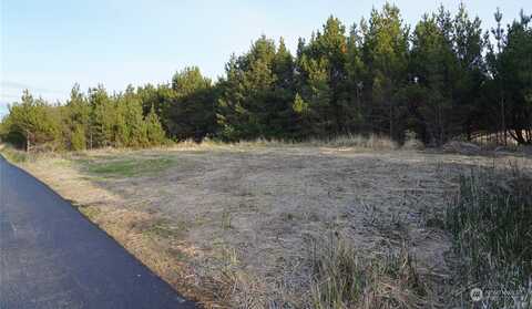 Xxx N Lot 2 Shoreview, Long Beach, WA 98631