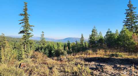 Lot 69 Forest Ridge Drive, Cle Elum, WA 98922