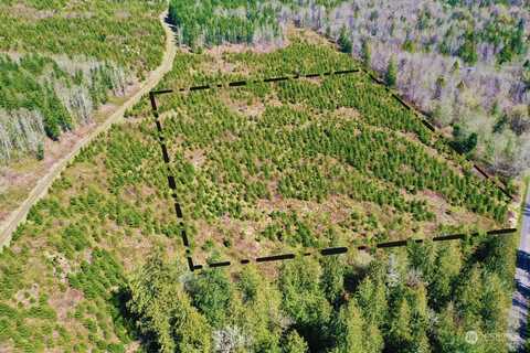 Snow Creek Road, Quilcene, WA 98376