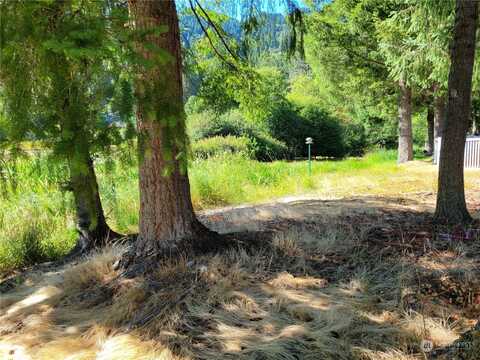 Cain Lake Road, Sedro Woolley, WA 98284