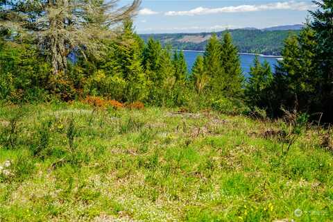 N Hamma Ridge Dr, Lilliwaup, WA 98555