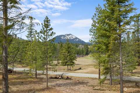 Liberty Bell Lane, Cle Elum, WA 98922