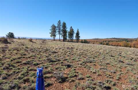 Lot 36 Bluebird Ridge #1 Nore, Goldendale, WA 98620