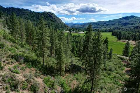 E Chewuch Road, Winthrop, WA 98862