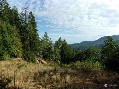 Rocky Brook Road, Brinnon, WA 98320