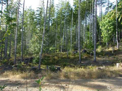 Rocky Brook Road, Brinnon, WA 98320