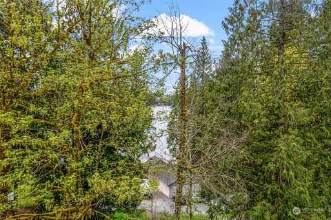 Xx S Tulloch Road, Snohomish, WA 98290