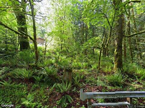 Lake Alice Road Se, Fall City, WA 98024