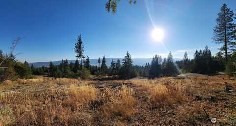 Lot 49 Forest Ridge Drive, Cle Elum, WA 98922