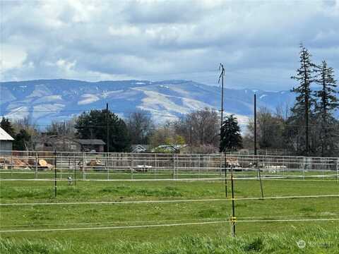 Lot 2 S Hussey Street, Walla Walla, WA 99362