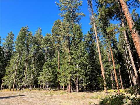 Tbd Davelaar Drive, Mazama, WA 98833