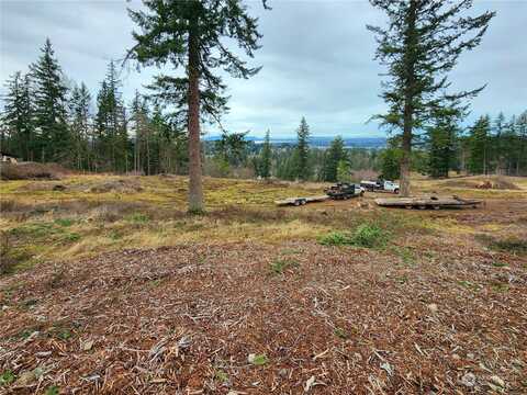 Toad Lake Rd Unit A, Bellingham, WA 98226