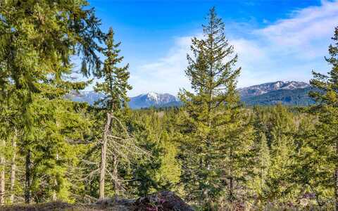 Gold Leaf Lane, Cle Elum, WA 98922