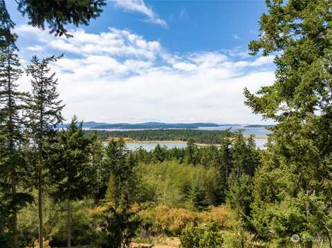 Mariner Drive, Lopez Island, WA 98261