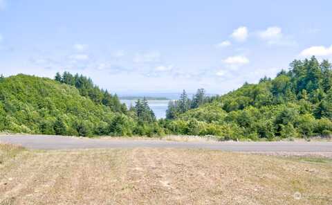 Xx Discovery Heights, Ilwaco, WA 98624