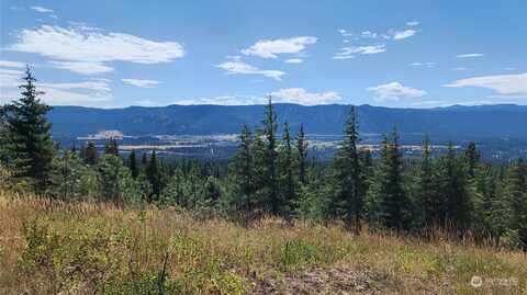 Lot 30 Forest Ridge Drive, Cle Elum, WA 98922