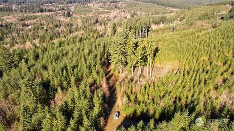 Ne Jones Creek Road, Camas, WA 98601