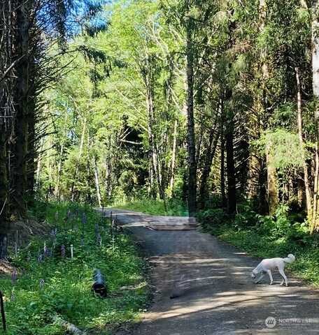 Lot 4 Luttrell Lane Lane, Chinook, WA 98614