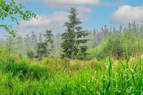State Route 525, COUPEVILLE, WA 98239
