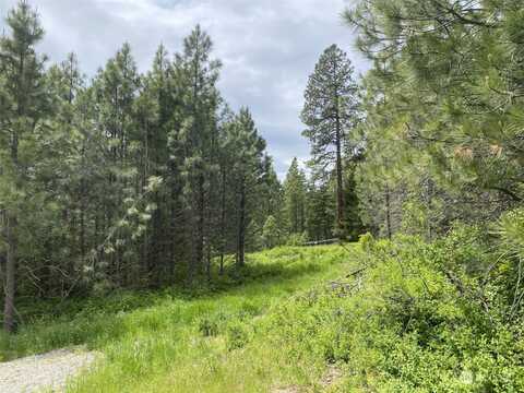 Forest Ridge Drive, Cle Elum, WA 98922