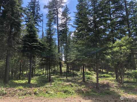 Old Grove Trail, Cle Elum, WA 98922