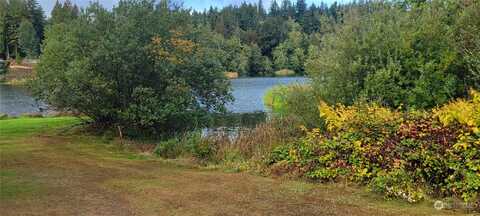 E Lakeshore Dr, Allyn, WA 98524