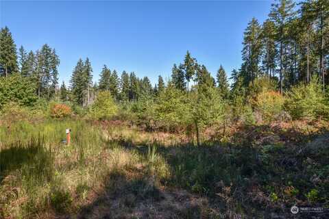 Acres Sw Hunter Road, Port Orchard, WA 98367