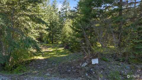 Newport Creek Loop, Ronald, WA 98940