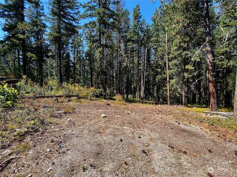 Noble Lane, Leavenworth, WA 98826