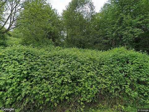 Se Cougar Mountain Drive, Bellevue, WA 98006