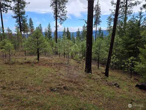 Game Trail Road, Cle Elum, WA 98922