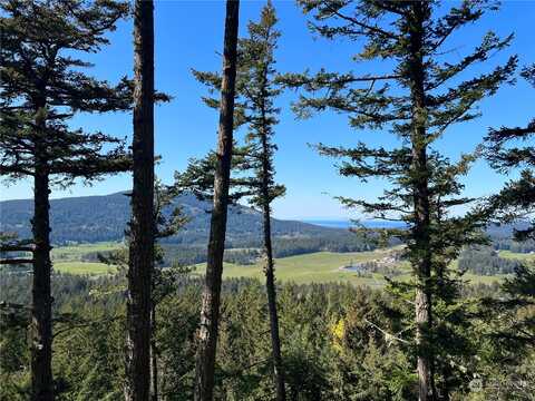 Mountain Crest, Orcas, WA 98245