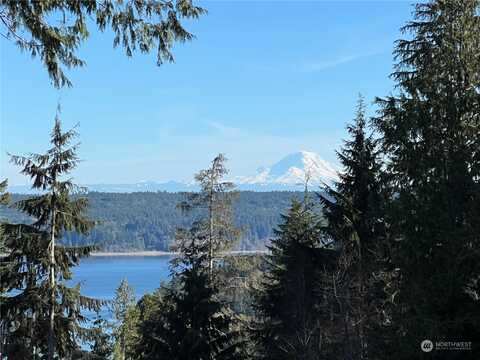 Whitney Road, Quilcene, WA 98376