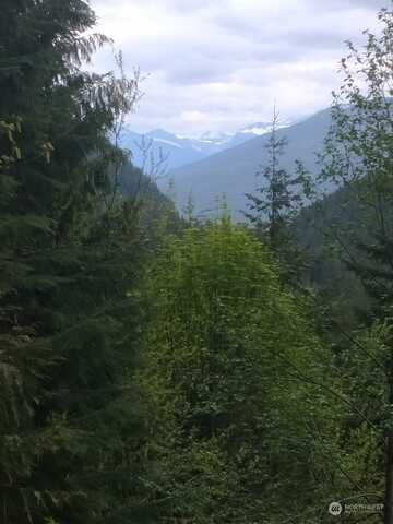 Sno Mt. Baker Nat Forest, Rockport, WA 98283