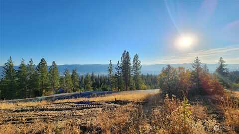 Lot 16 Forest Ridge Drive, Cle Elum, WA 98922