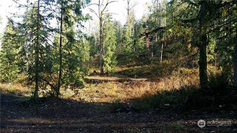 Xx Wilkeson-Spiketon Rd (Lot 3), Wilkeson, WA 98396