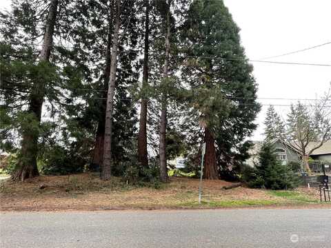 Lot Y 39Th Avenue Ne, Seattle, WA 98125