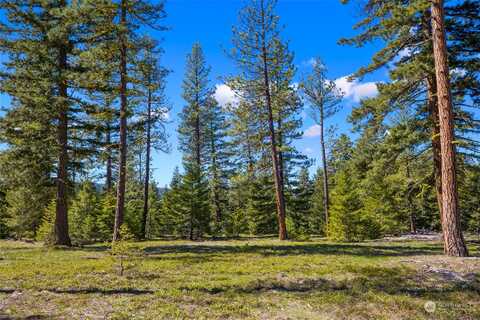 Wanawish Loop, Cle Elum, WA 98922